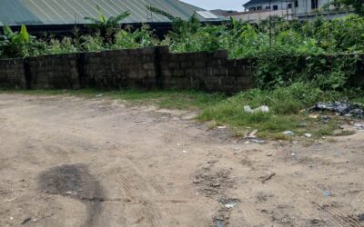 10 PLOTS FULLY FENCED FOR SALE @ RUPOKWU PHC